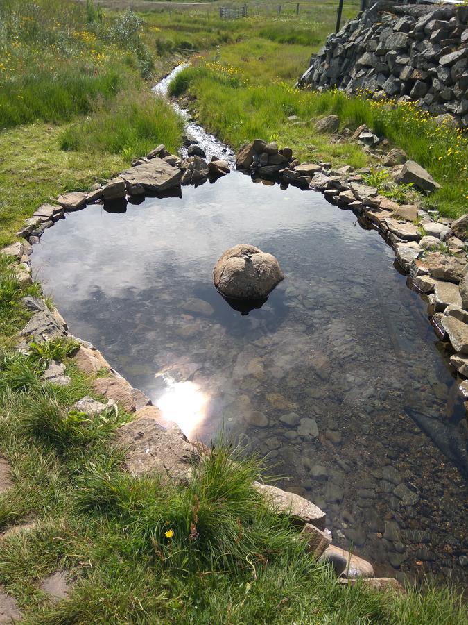 Hotel Laugarholl With Natural Hot Spring ホールマビーク エクステリア 写真